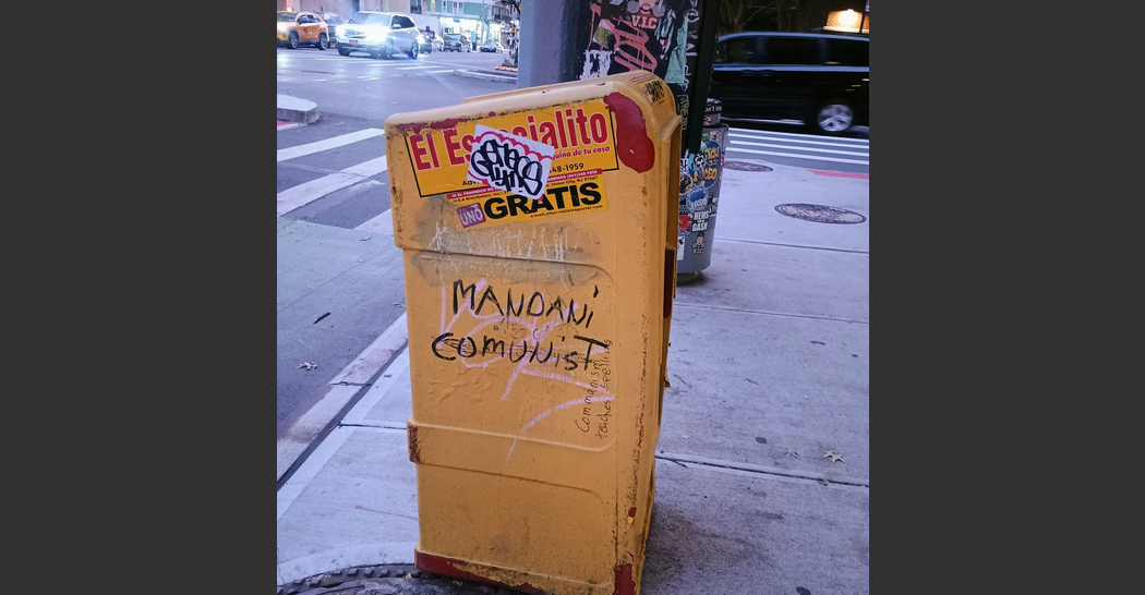 Raina Lipsitz on DSA Politics