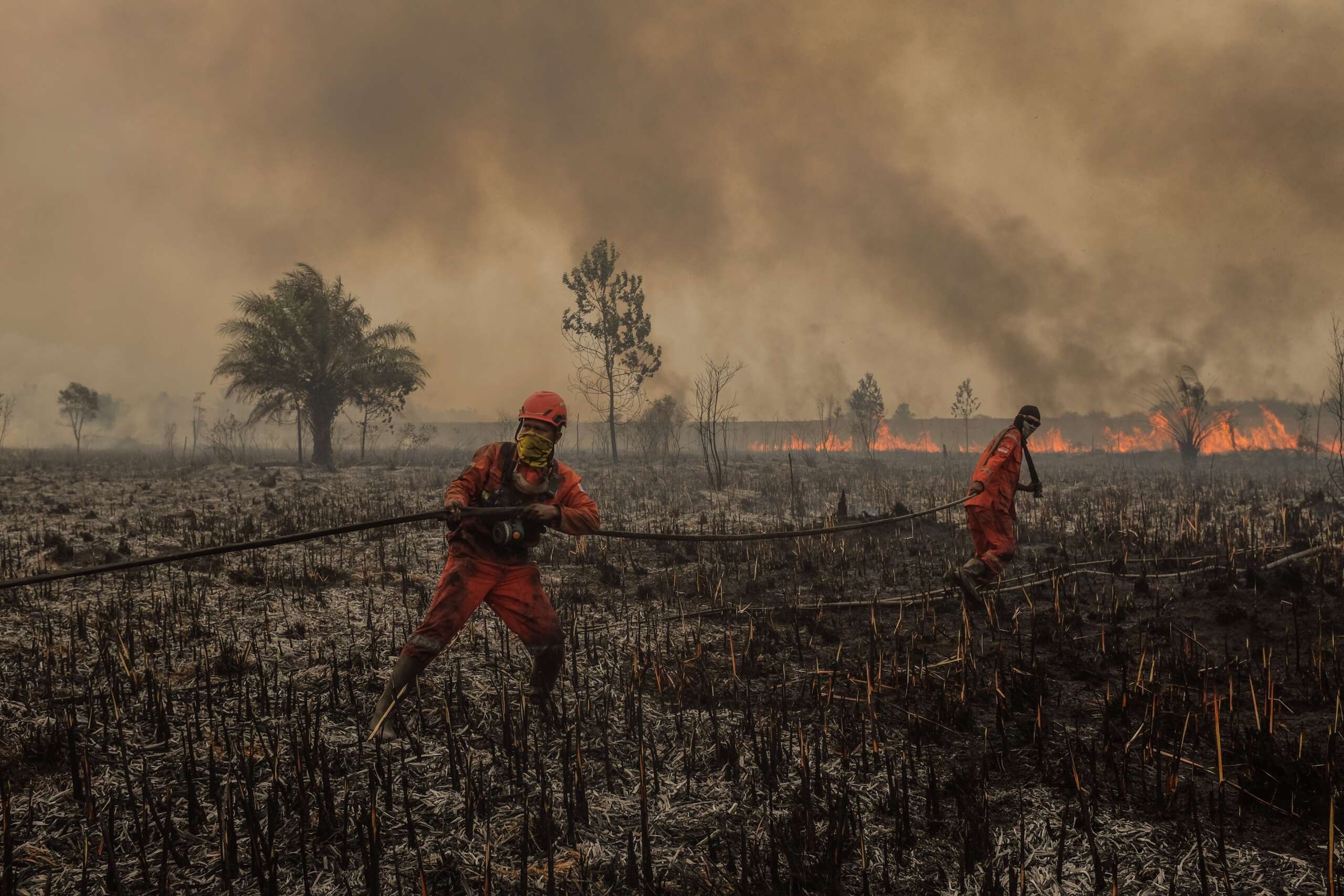Report Warns Heat May Kill 451,000 People in First 9 Months of Super El Niño