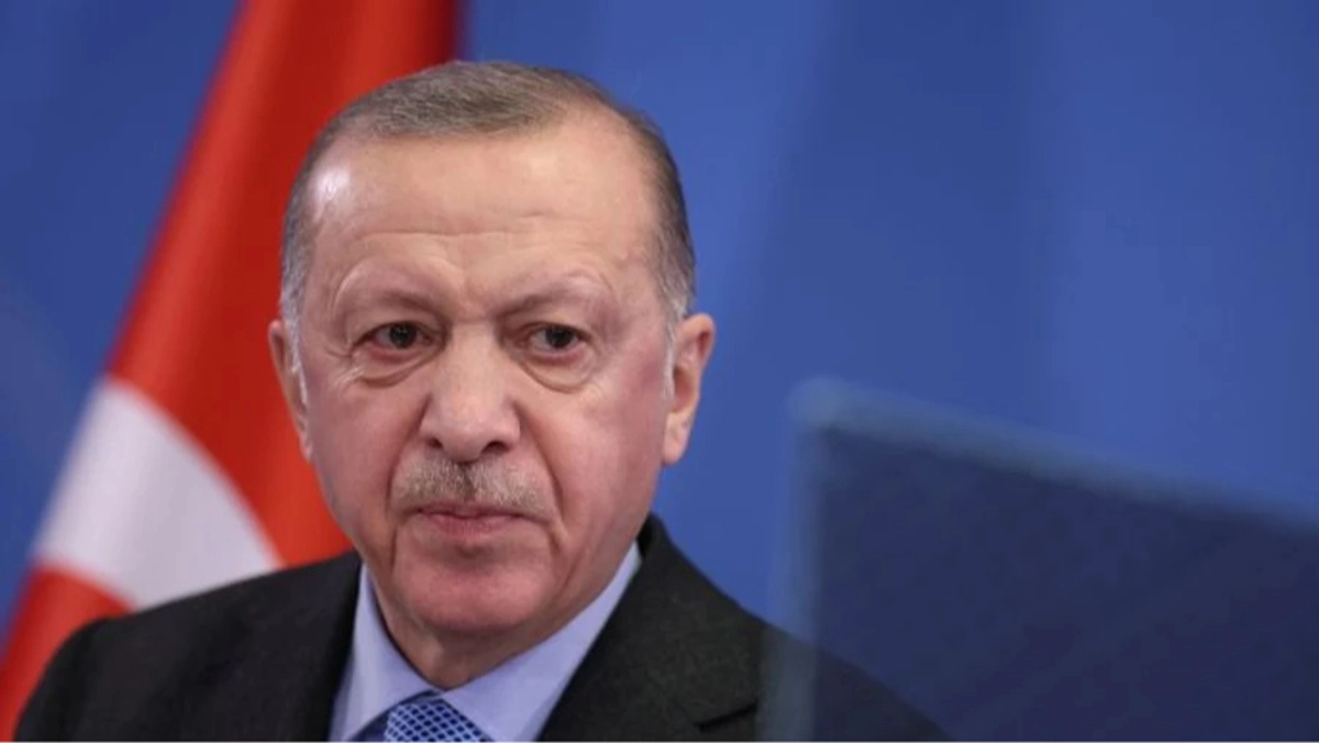 Türkiye's Erdoğan proposes stripping permanent UN Security Council members of veto power