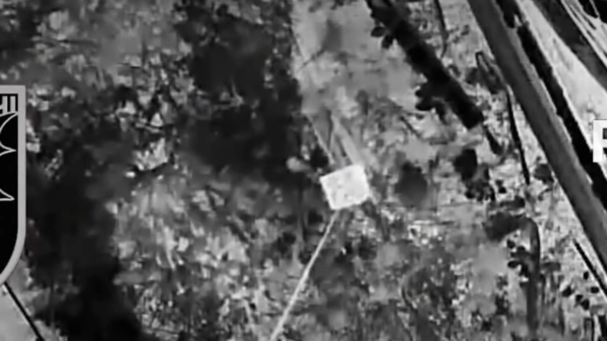 Ukrainian troops deliver four tonnes of humanitarian aid to occupied Oleshky again – video