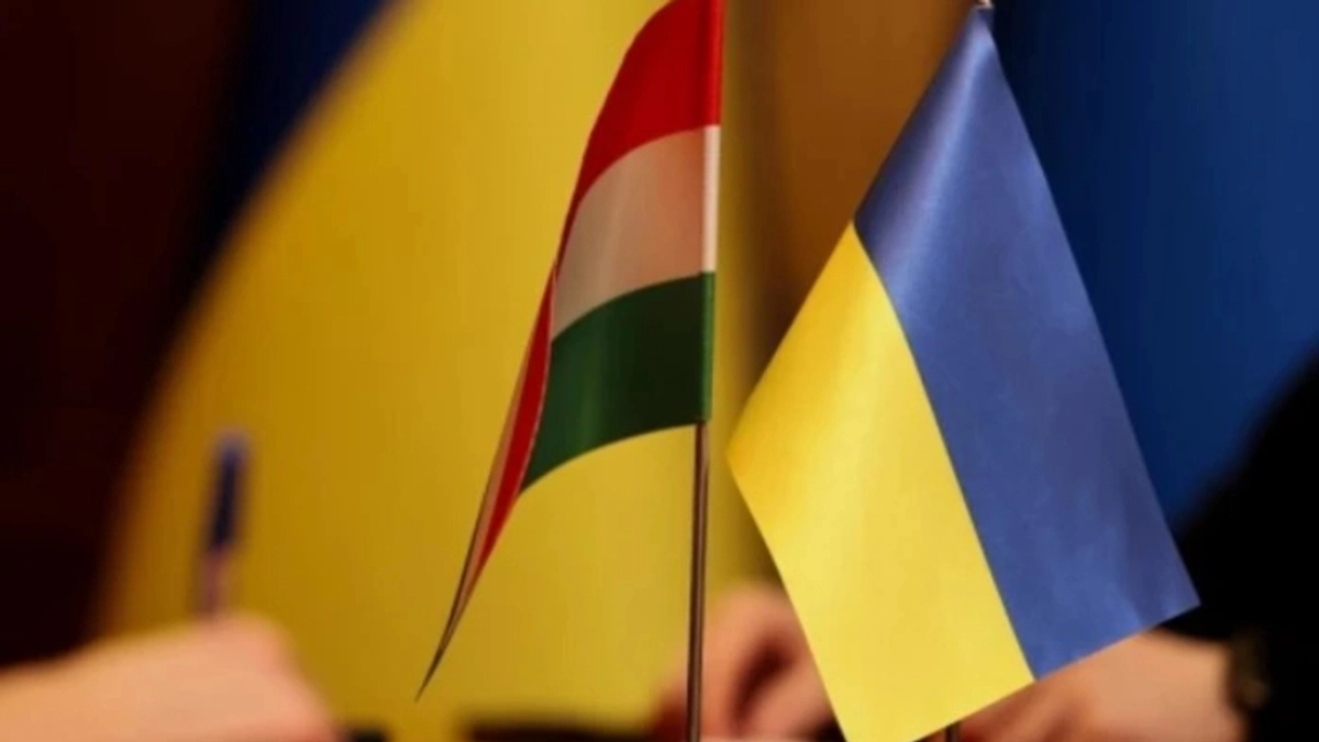 Hungarian alliances in Ukraine express satisfaction with draft law on education